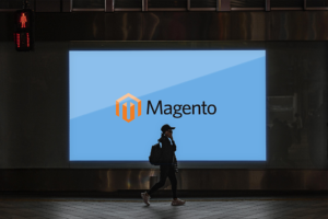 Famous brands on Magento
